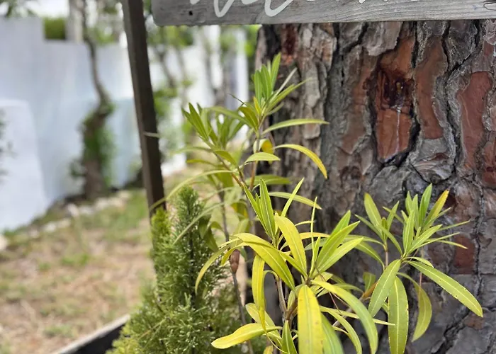Villa Namibe Na Quinta Da Balaia Albufeira
