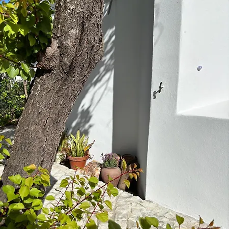 Namibe Na Quinta Da Balaia Вилла