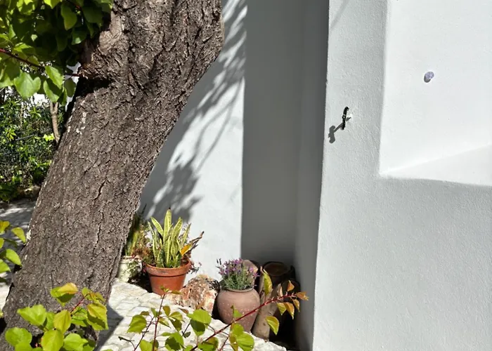 Namibe Na Quinta Da Balaia Willa